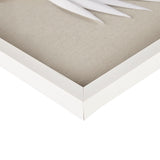 Framed Rice Paper Palm Leaves 3-Piece Shadowbox Wall Decor Set by Lissie Lou
