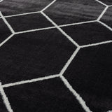 Trellis Geometric Woven Area Rug 10x8