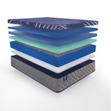 Sealy® Golden Elegance- Remmington Hybrid- Soft