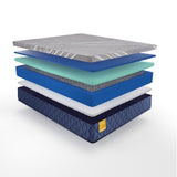 Sealy® Golden Elegance- Featherton Hybrid- Firm