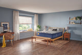Sealy® Golden Elegance - Bridgerton - Soft Euro Pillow Top