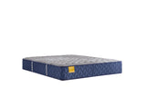 Sealy® Golden Elegance - Bridgerton - Firm