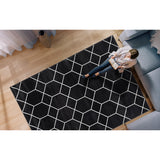 Trellis Geometric Woven Area Rug 10x8